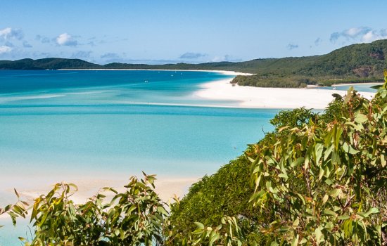 GREAT BARRIER REEF